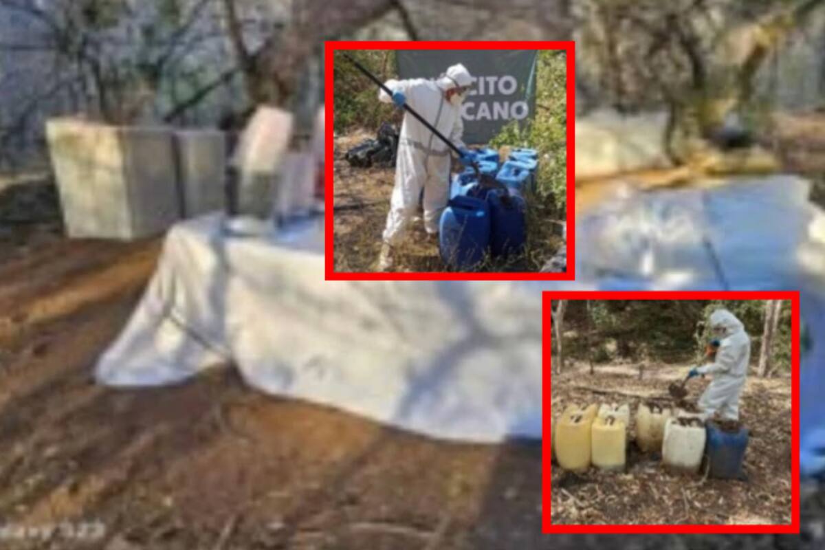 Golpe al crimen organizado: aseguran 12 laboratorios de drogas en Culiacán y Cosalá