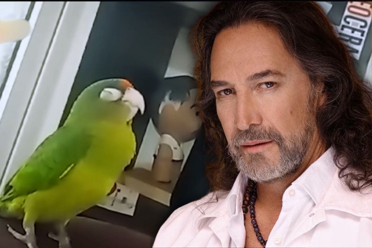 Pepe, el perico fan número uno de Marco Antonio Solís ‘El Buki’