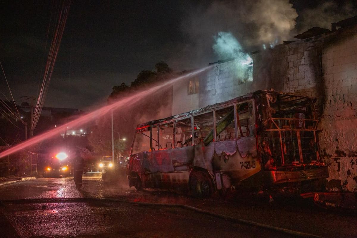 Rescataron conejos que se encontraban dentro del inmueble.