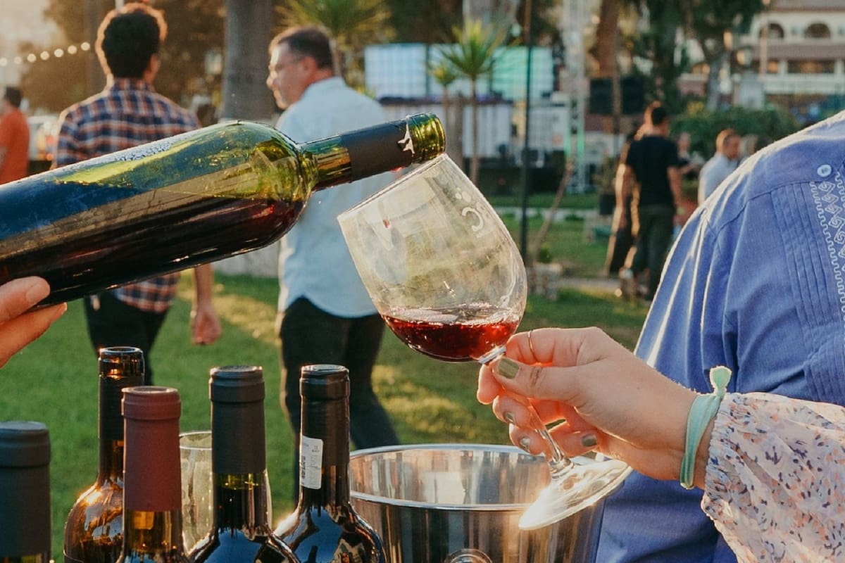 Estiman caída del 35% en producción de vino en Baja California; influyen condiciones climáticas, económicas y de distribución de agua