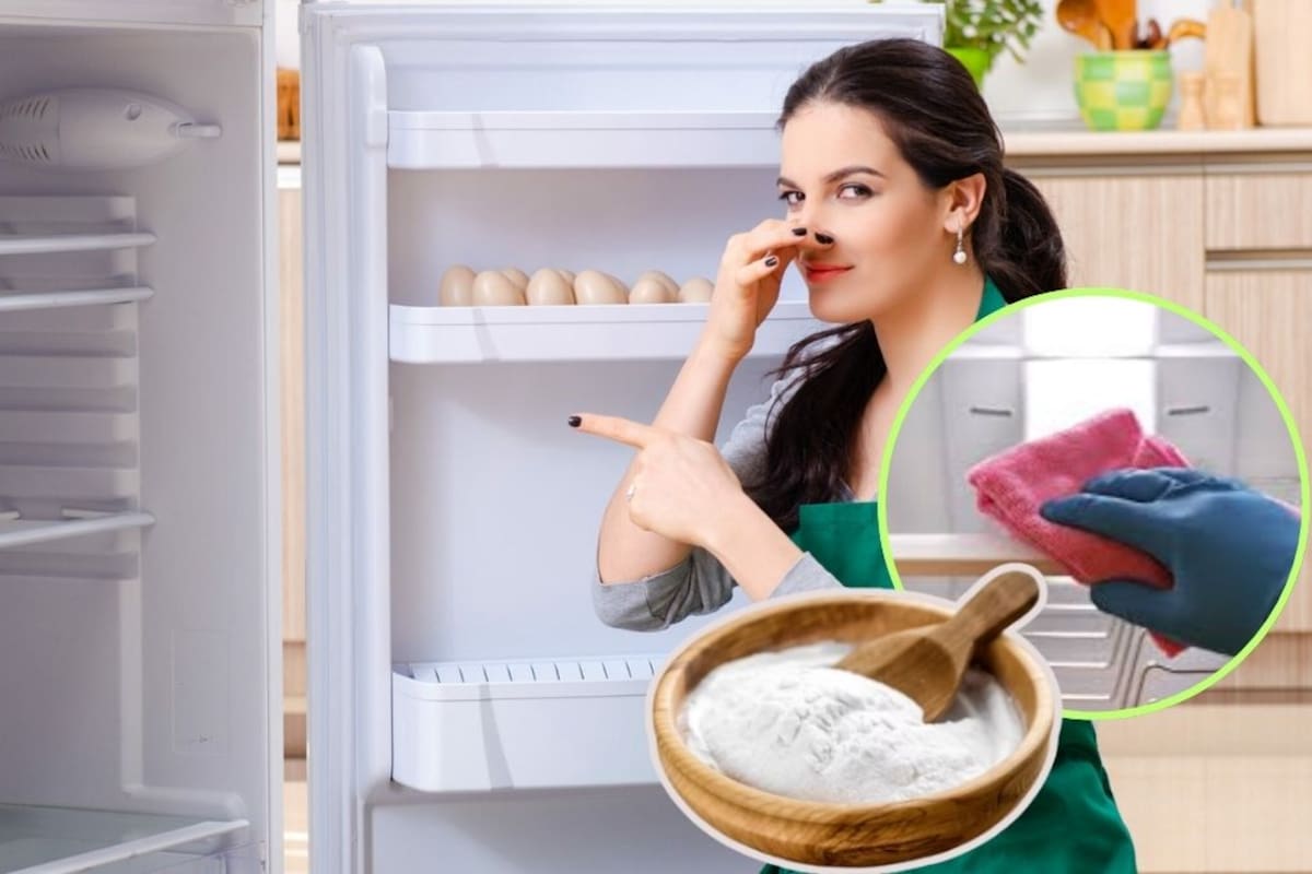Cómo limpiar correctamente tu refrigerador: pasos para eliminar malos olores y bacterias