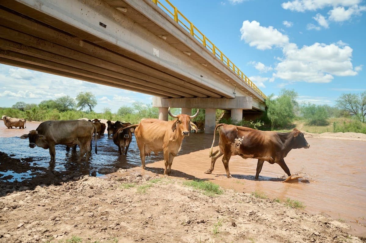 La remediación del Río Sonora comenzará en septiembre con una inversión de 654 millones de pesos y atenderá ocho pueblos. FOTO: X GOBIERNO DE SONORA