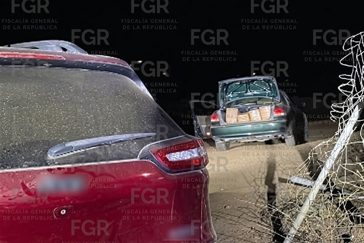 FGR asegura 120 kilos de marihuana durante cateo en Ensenada