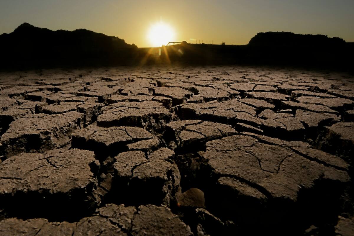Para resolver la escasez de agua en México falta voluntad política: Canadevi