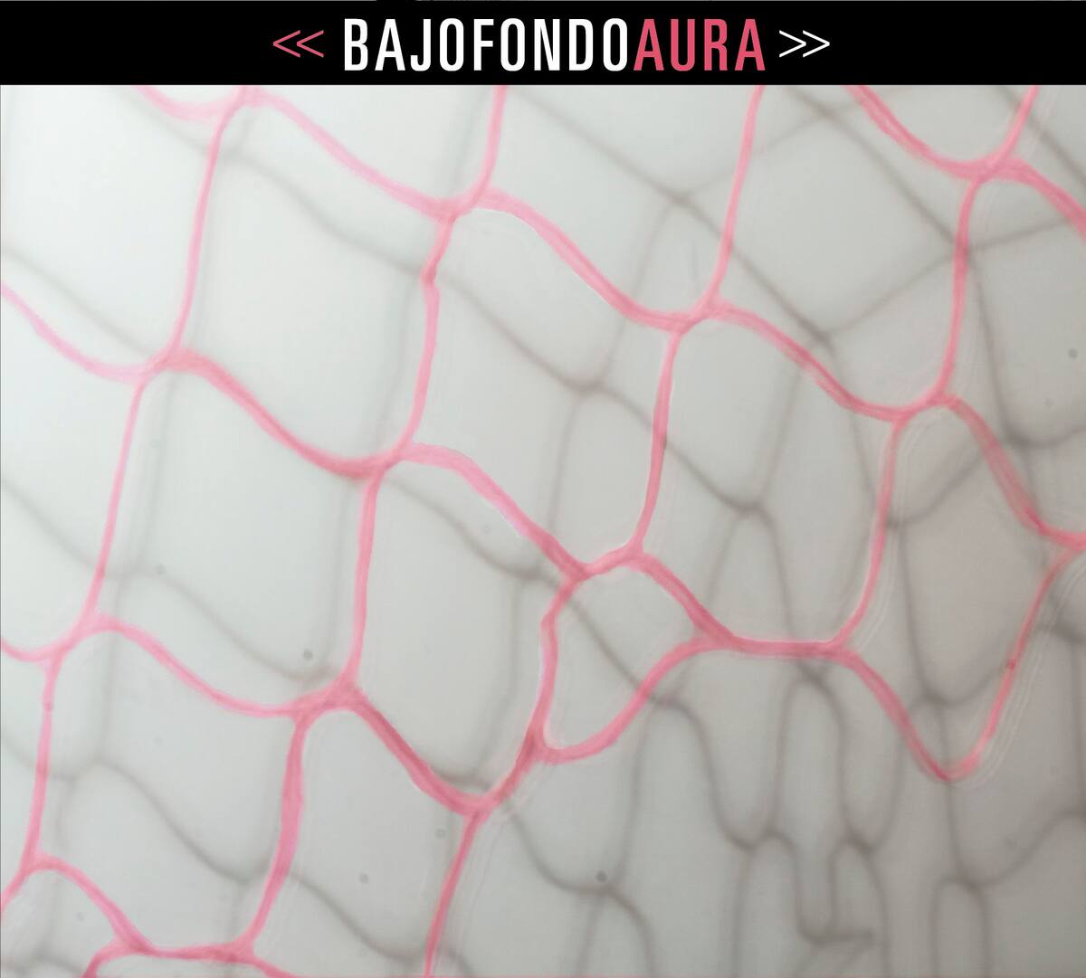 En esta imagen difundida por Sony Music México, la portada de "Aura" de "Bajofondo". El disco está nominado al Grammy al mejor álbum latino de rock, música urbana o alternativa. La ceremonia de premios será el 31 de enero. (Sony Music México vía AP)