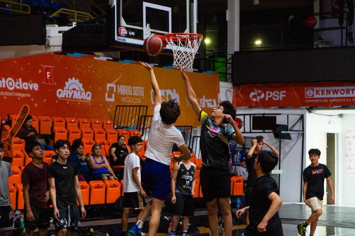 Todo listo el Winter Camp 2026