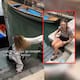 Turista cayó a un canal en Venecia por seguir indicaciones de Google Maps (VIDEO)