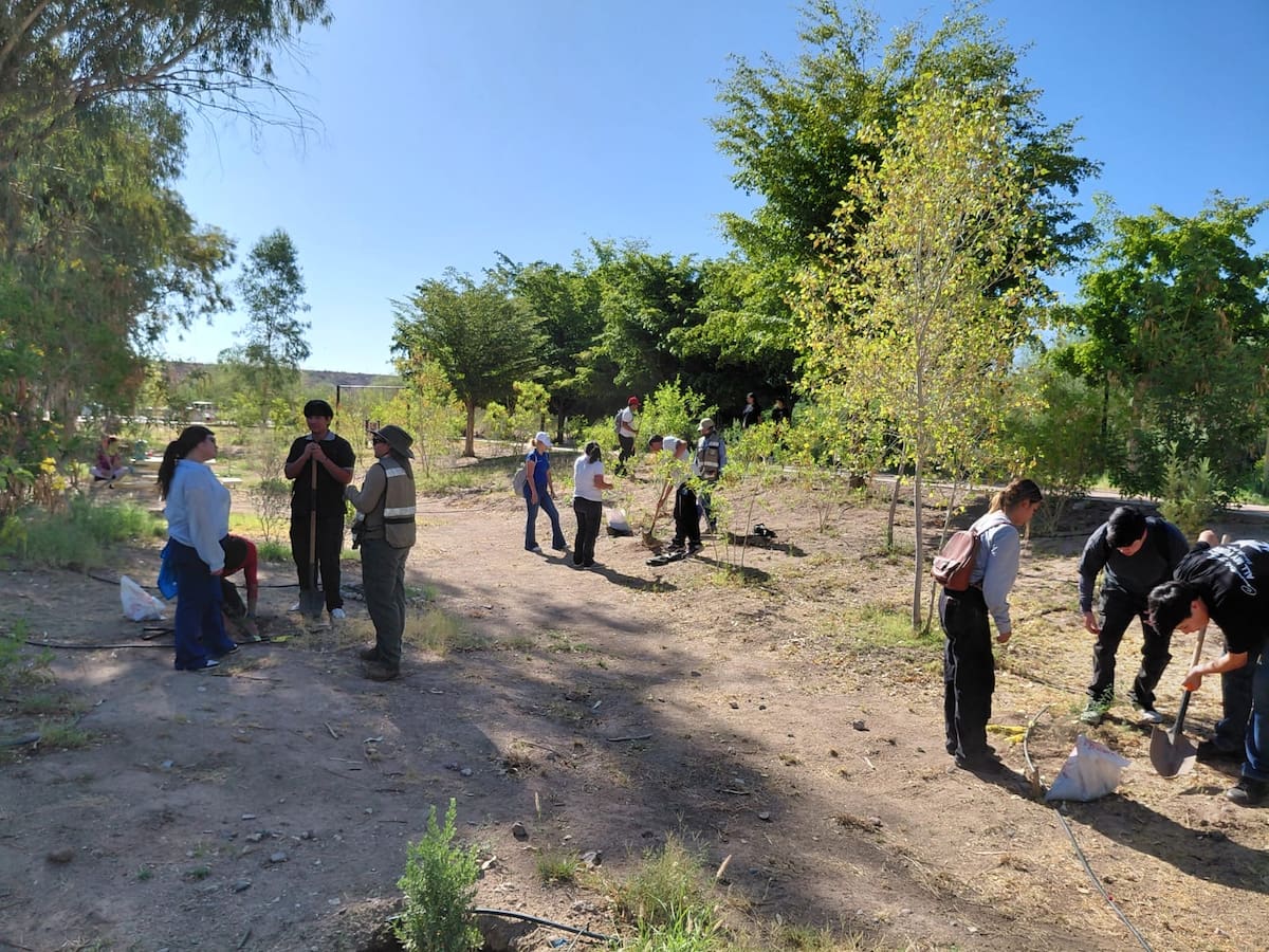 Guayacanes, palos fierros y agaves formaron parte de los 60 ejemplares previstos para plantar en La Sauceda.