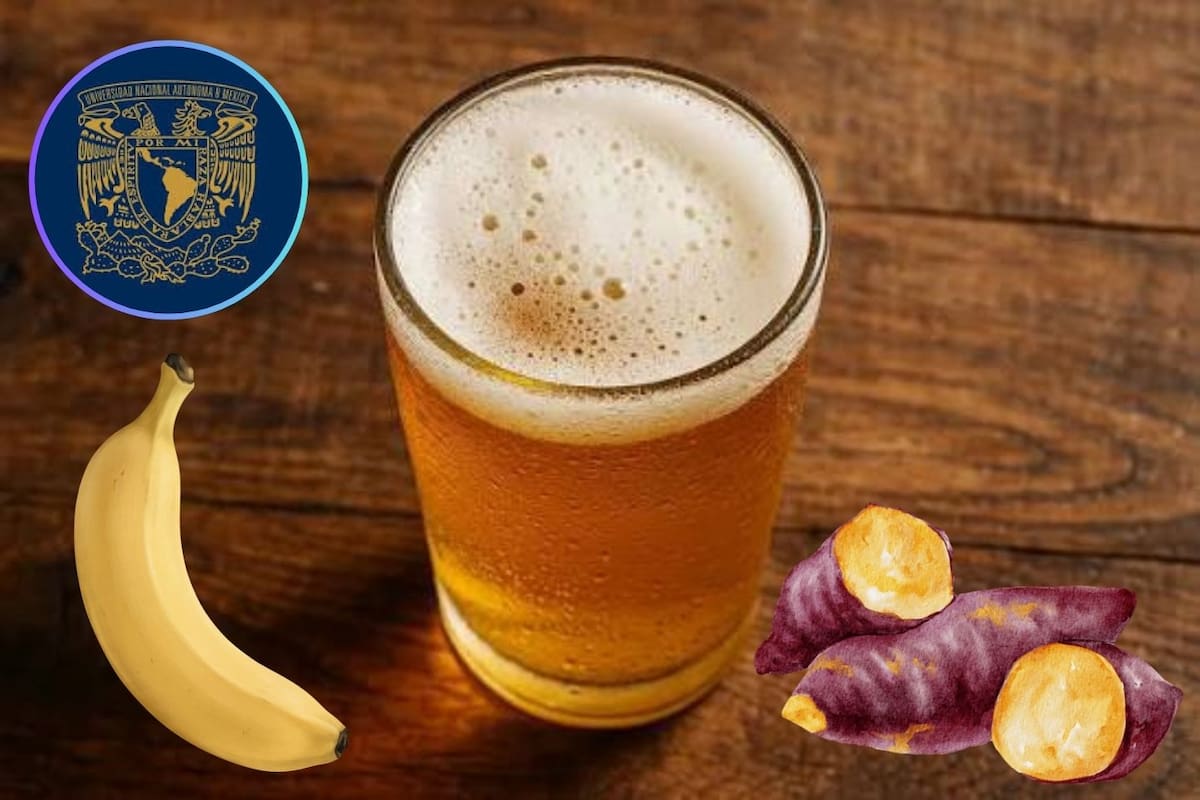 UNAM crea cervezas con plátano, camote, calabaza, amaranto y yuca para reducir el desperdicio de alimentos