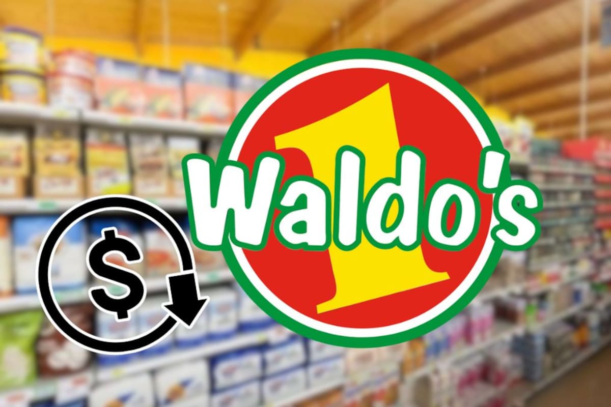 ¿Por qué la tienda Waldos ofrece productos a tan bajo precio?