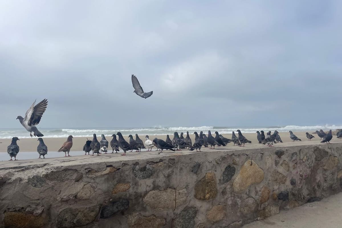Inundaciones en Rosarito por olas de más de 2 metros