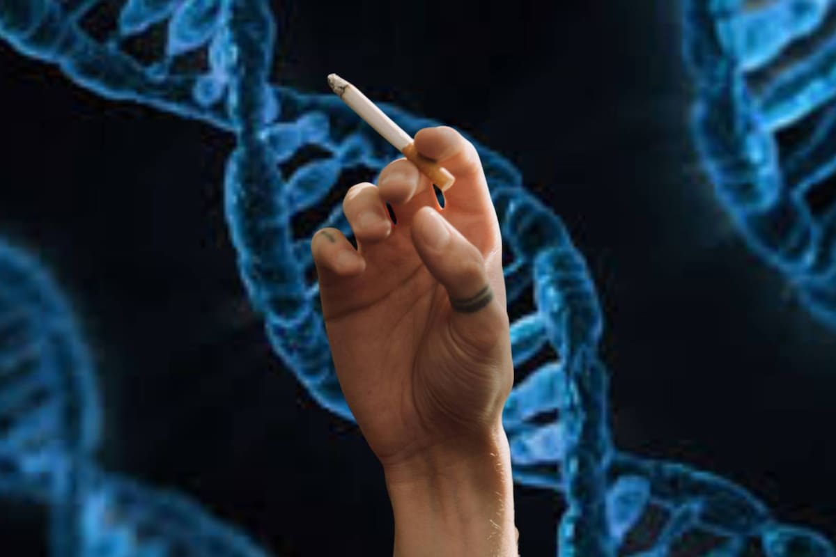 ADN en un cigarrillo permitió resolver el caso de violación y asesinato 44 años después de una niña en el año 1982