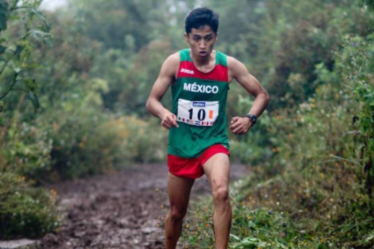 Carrera en ascenso