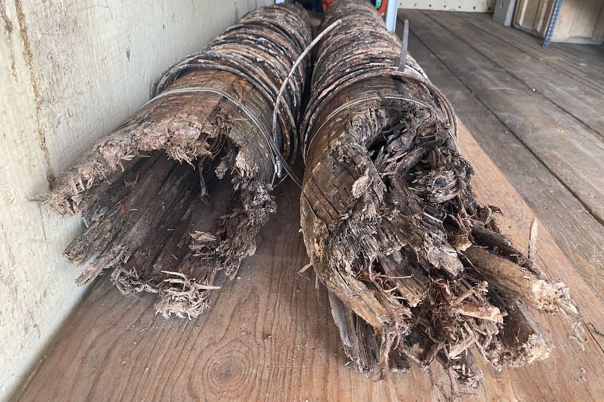 CESPM: Tuberías históricas de madera son encontradas en Zona Centro de Mexicali