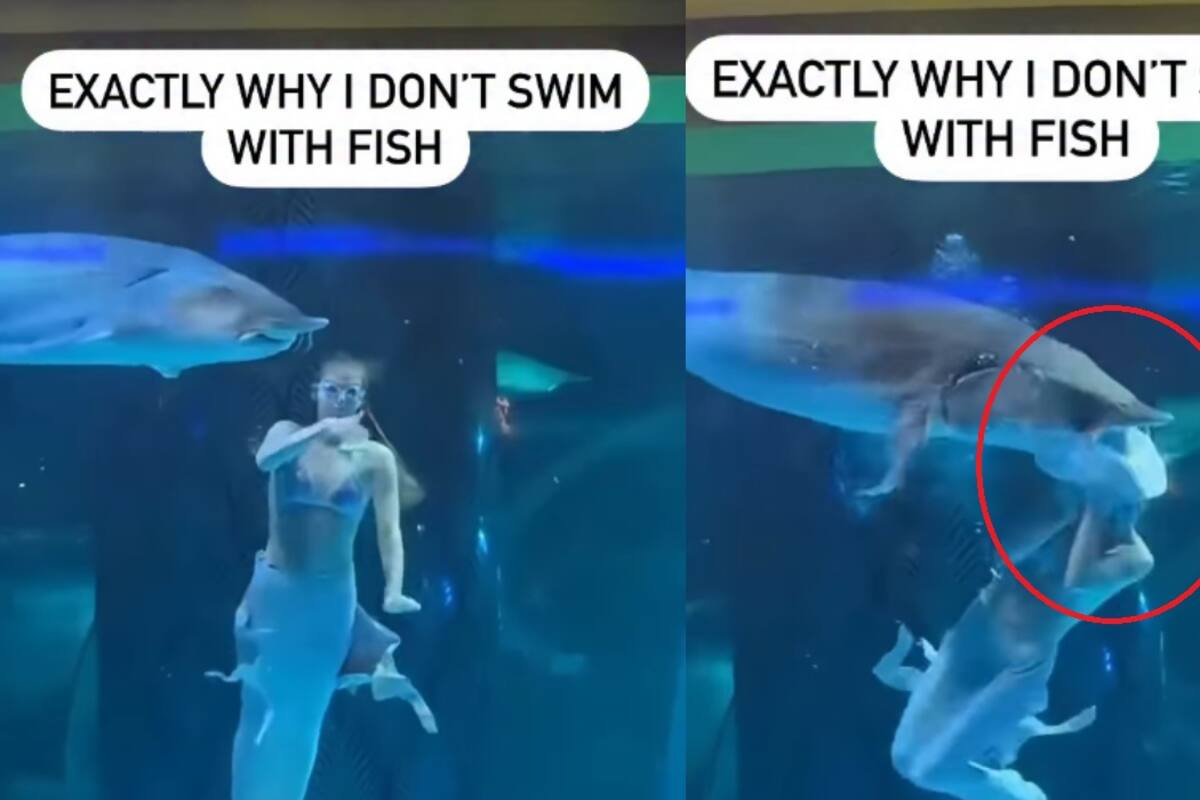Mujer ofrece show como sirena, pero un pez la atrapa de la cabeza en pleno acto