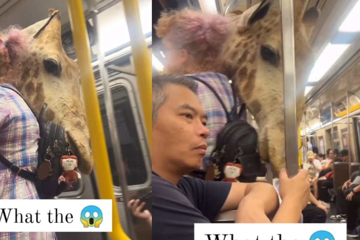Mujer sorprende en el metro al llevar cargando una cabeza de jirafa que parece ser real