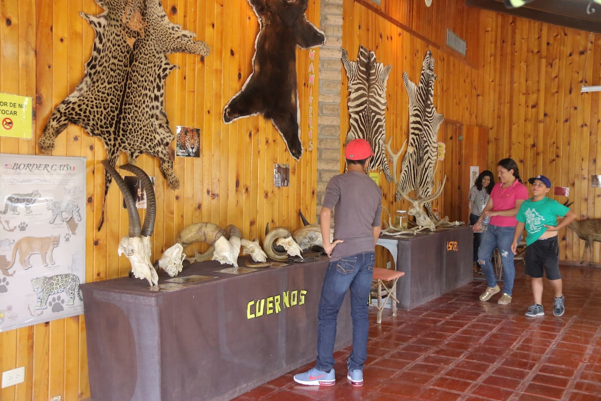 Centro Ecológico invita a conocer más de cerca a los animalitos