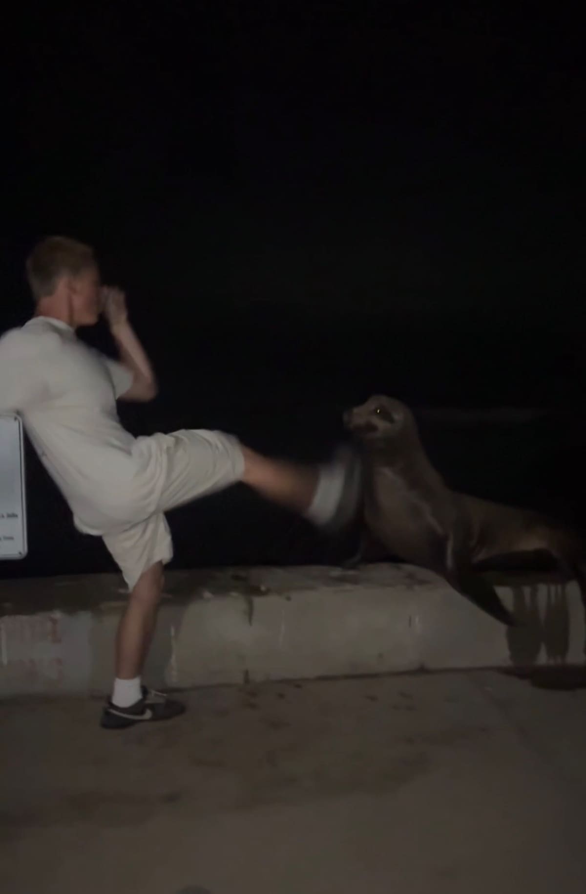 Tyler Muehl admitió haber pateado cuatro veces a un león marino en La Jolla Cove y podría recibir hasta un año de prisión y 100 mil dólares de multa.
Fotos: Cortesía.