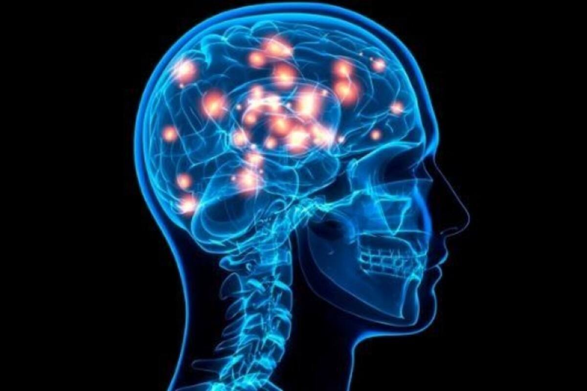 Cultiva nuevas neuronas para su cerebro siguiendo estos consejos