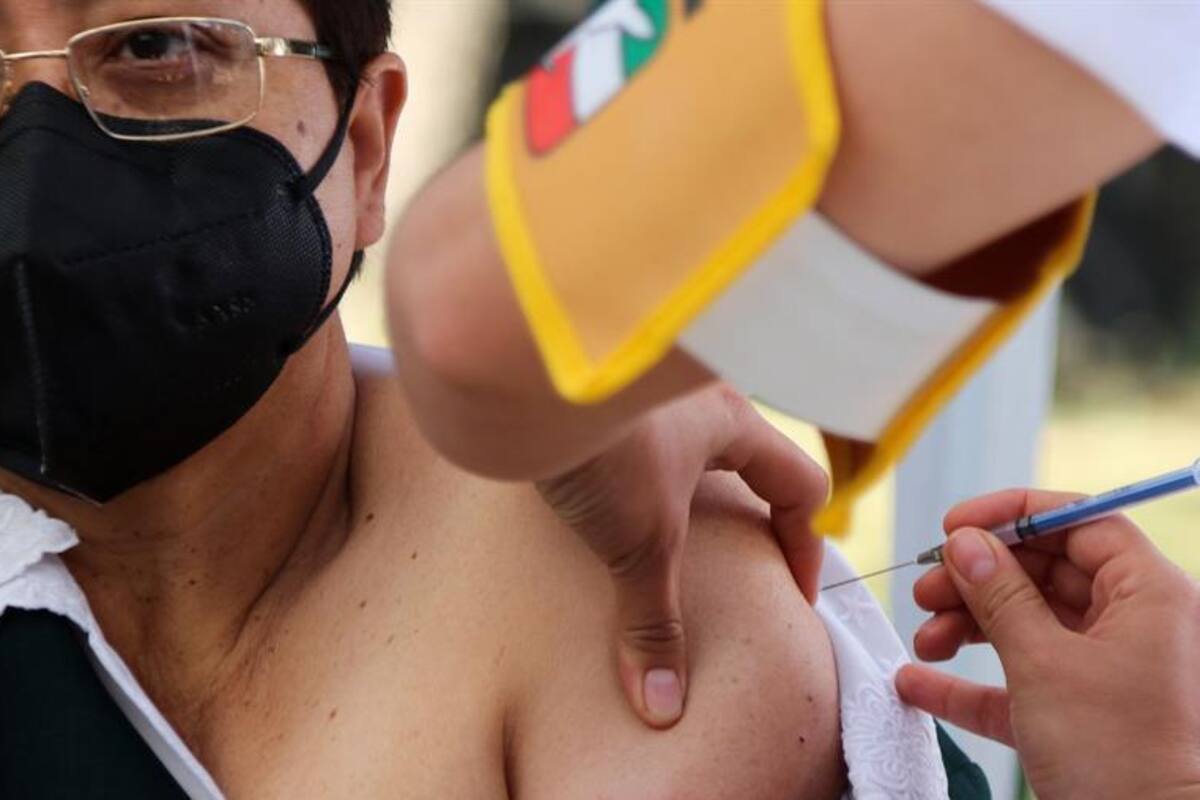 Cuándo te tocaría vacunarte contra Covid-19 en México, según tu edad