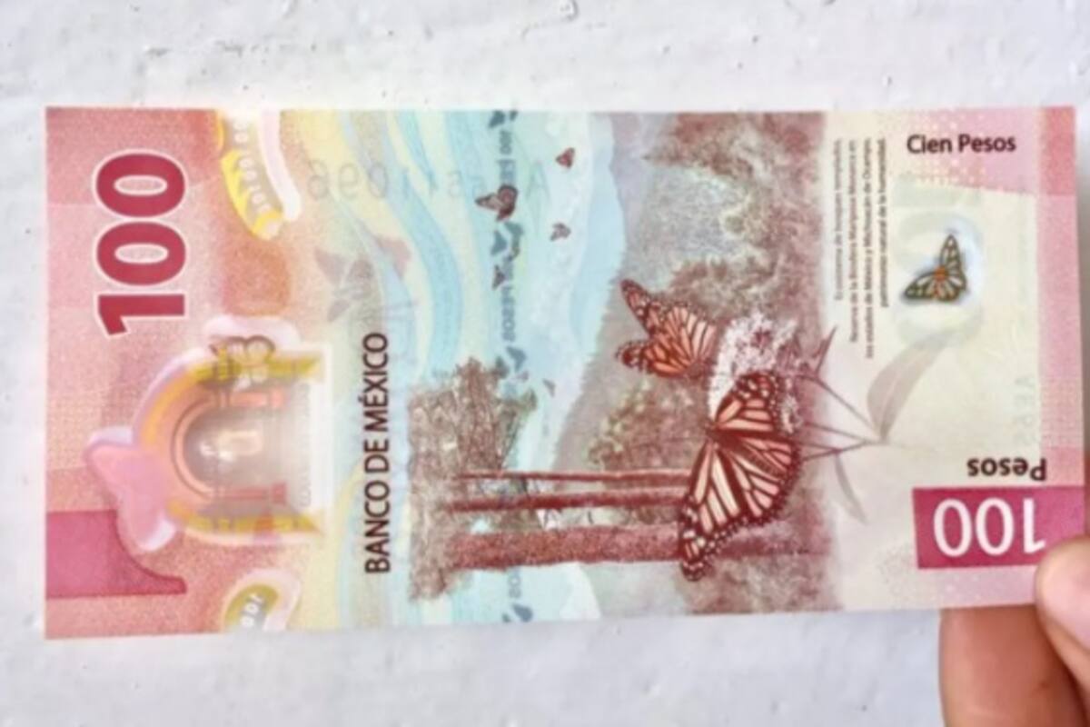 Niño vende billete de 100 para regalar un vestido a su madre
