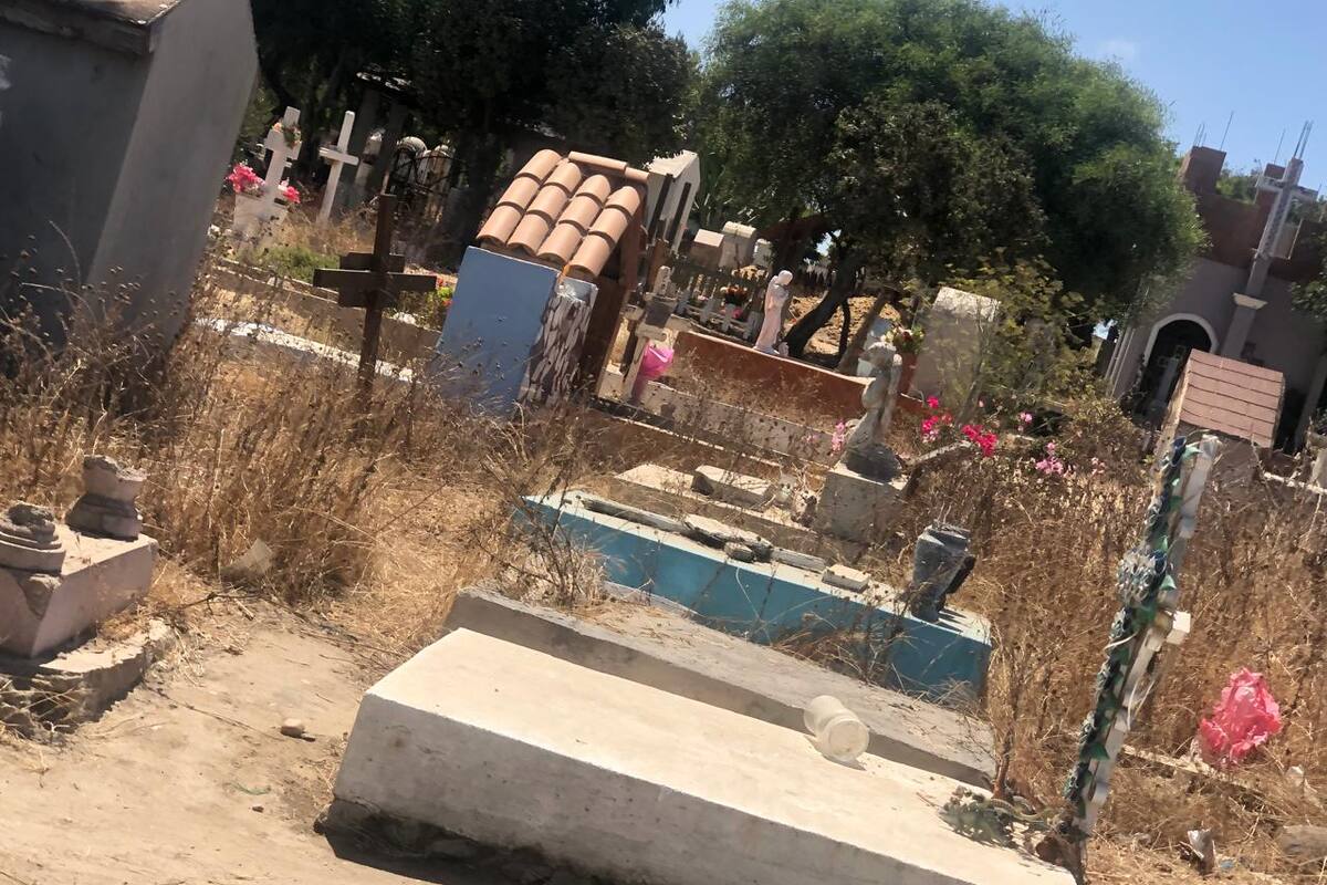 En total abandono se encuentra el panteón municipal de Rosarito