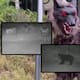 “Monster Wolf”, diseñado para asustar y frenar ataques a los osos en zonas rurales de Japón, con ojos LED, sonidos agresivos y sensores