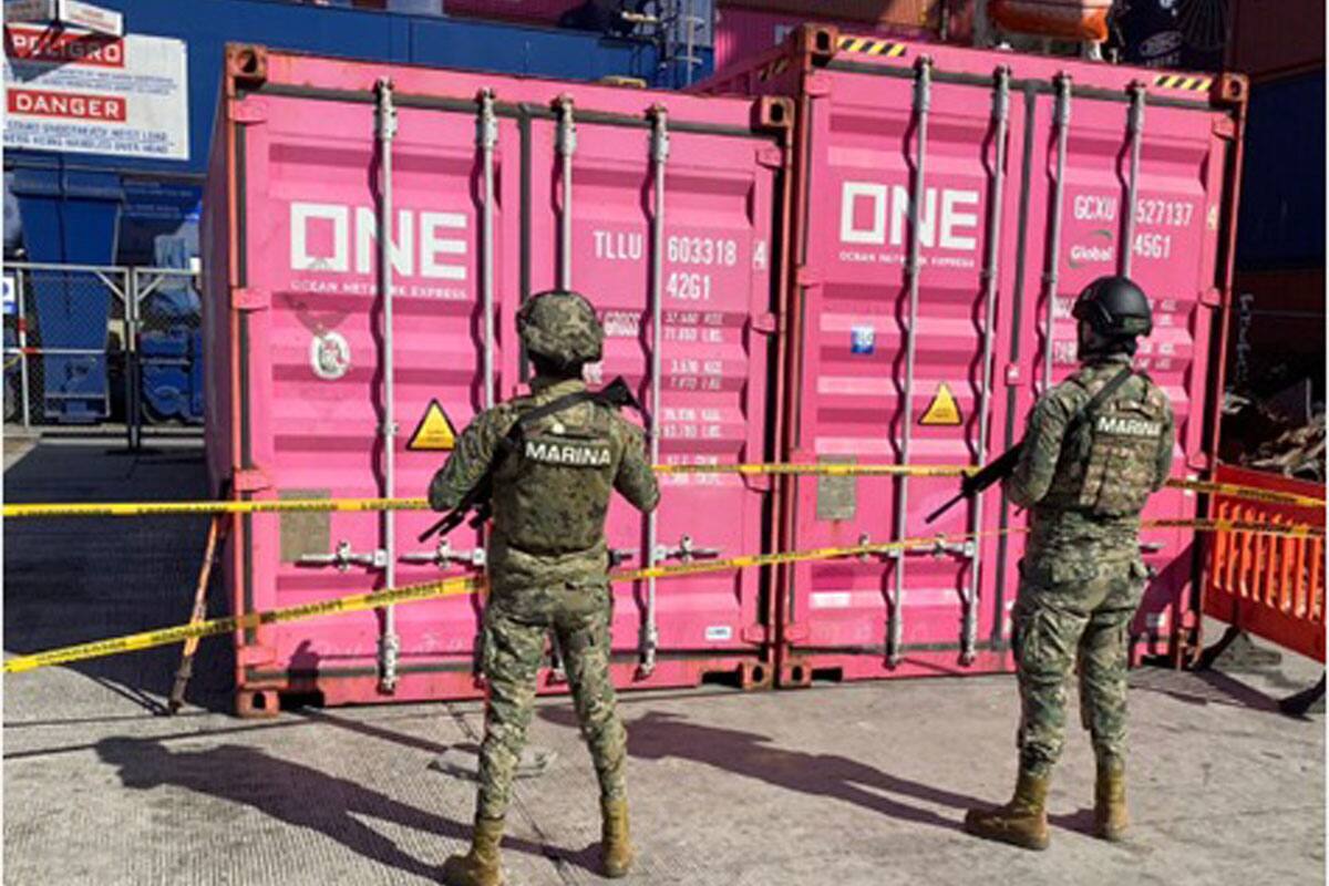 Marina incauta 350 kilos de droga en el puerto de Ensenada