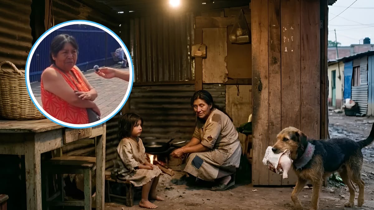 “De niña yo era muy pobre y mi perrita robaba comida para nosotros”: Mujer conmovió tras revelar su deuda con los perros, a los que ahora alimenta y cuida hasta que alguien los pueda adoptar (VIDEO)
