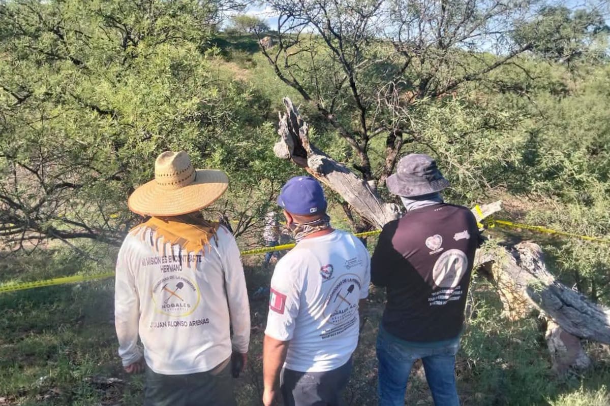Colectivo encuentra fosa clandestina y una osamenta al surponiente de Nogales