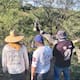 Buscadoras hallan osamenta en fosa clandestina en Nogales