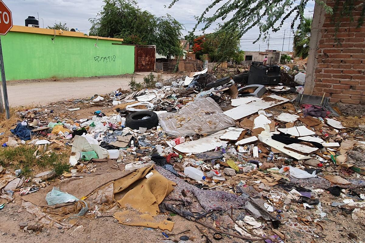 Lotes abandonados afectan a vecinos