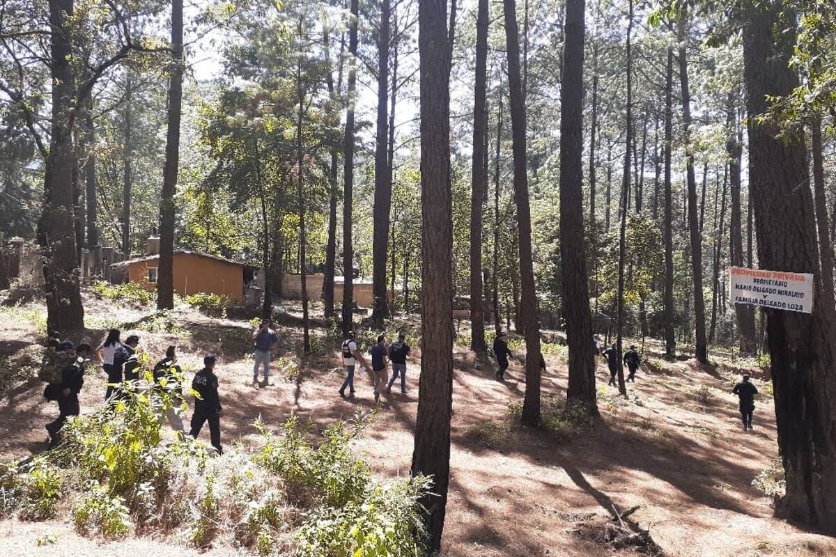 Ataque en Valle de Bravo podrían haber sido de "uno o dos perros": Fiscal