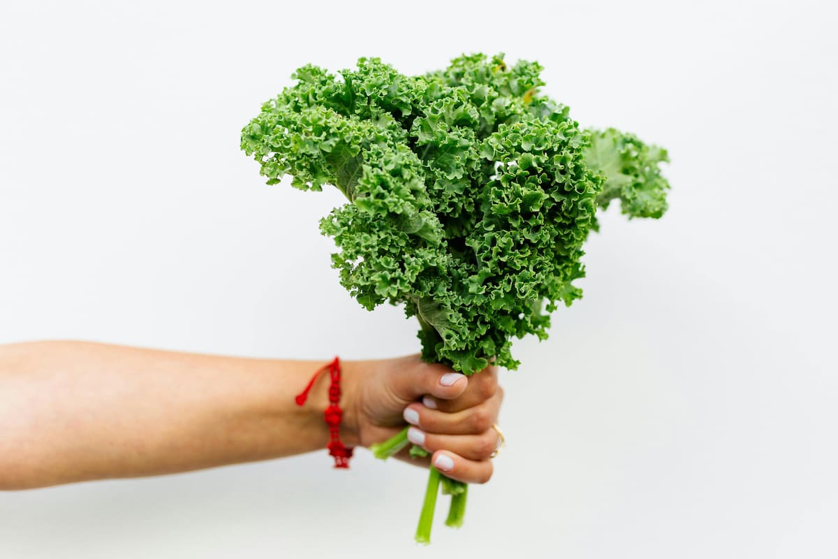 Kale: el vegetal que gana presencia en la alimentación saludable