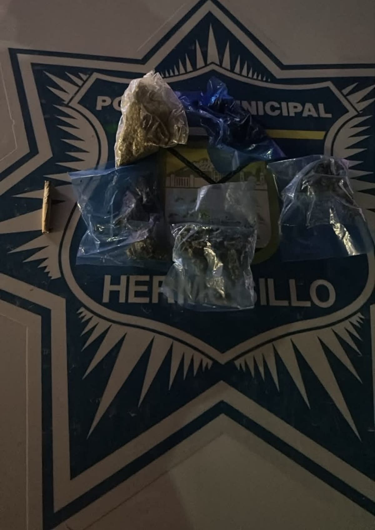 Foto: Seguridad Pública de Hermosillo.