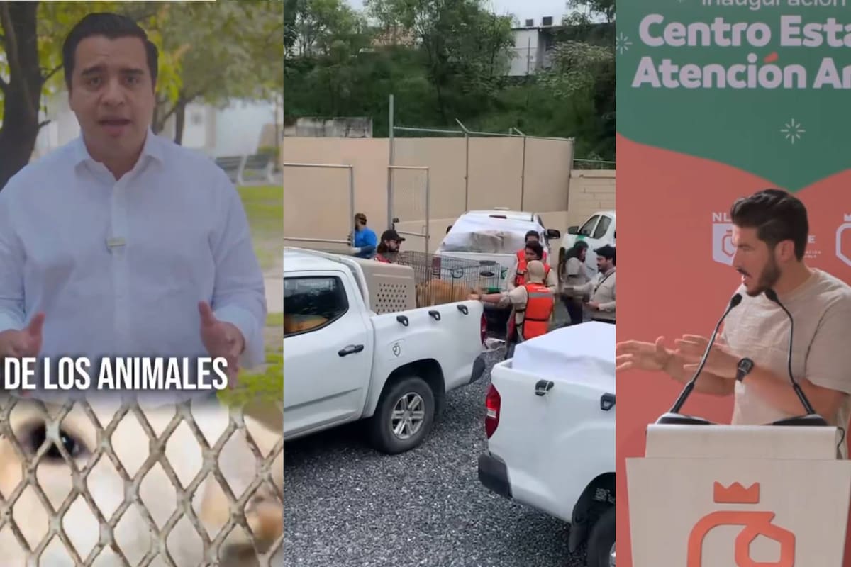 “Los 70 perritos están vivos” Alcalde de Morena en Nuevo León le responde a Salinas Pliego tras sumarse a denuncia de sacrificio masivo de perros; también desmiente a Samuel García