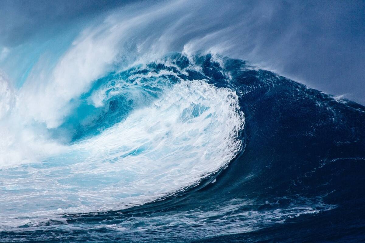 Los océanos del mundo experimentan un calentamiento sin precedentes, según expertos