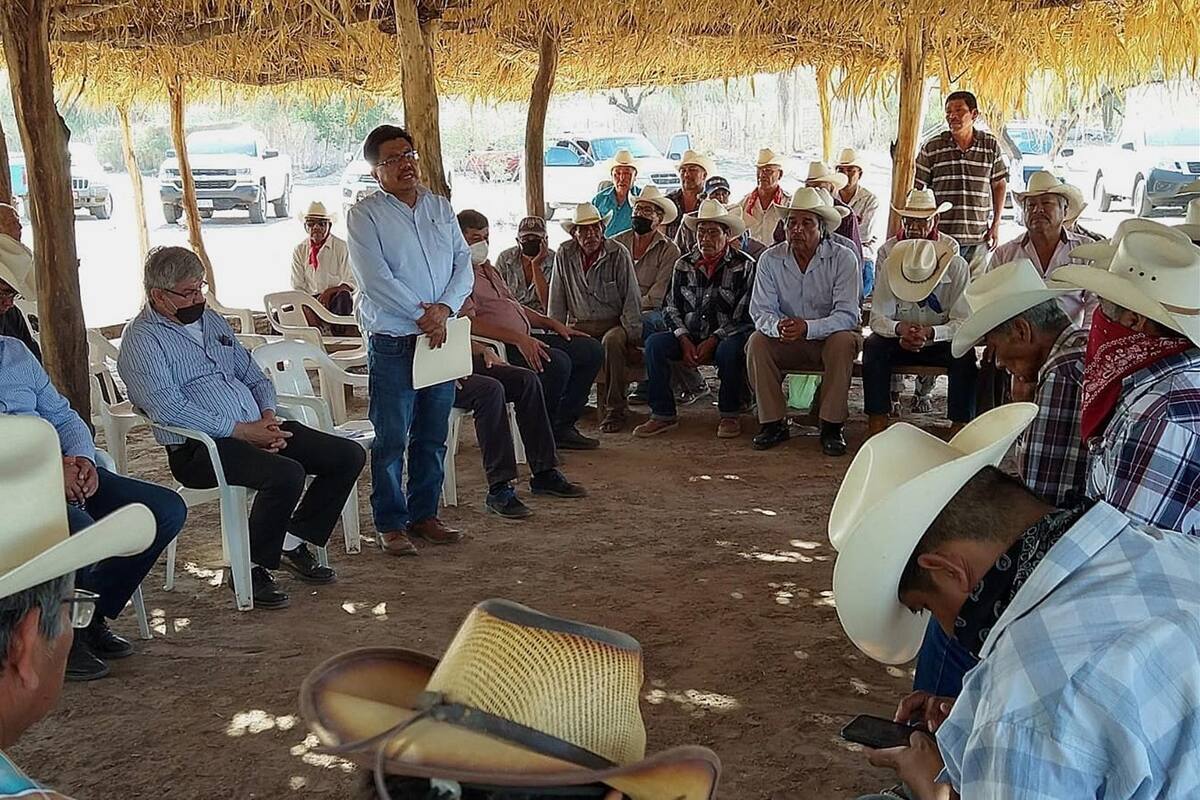 Varias ONG condenan violencia contra indígenas yaquis y periodistas en México