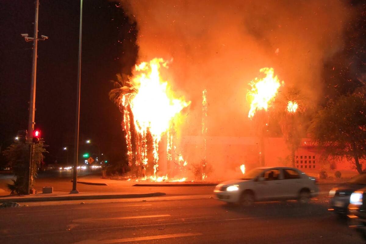 El incendio de palmeras de Unison fue provocado por fuego directo: Seguridad