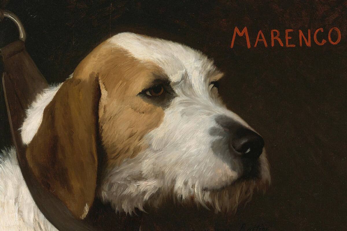 Marengo: El mejor amigo del artista Gérôme
