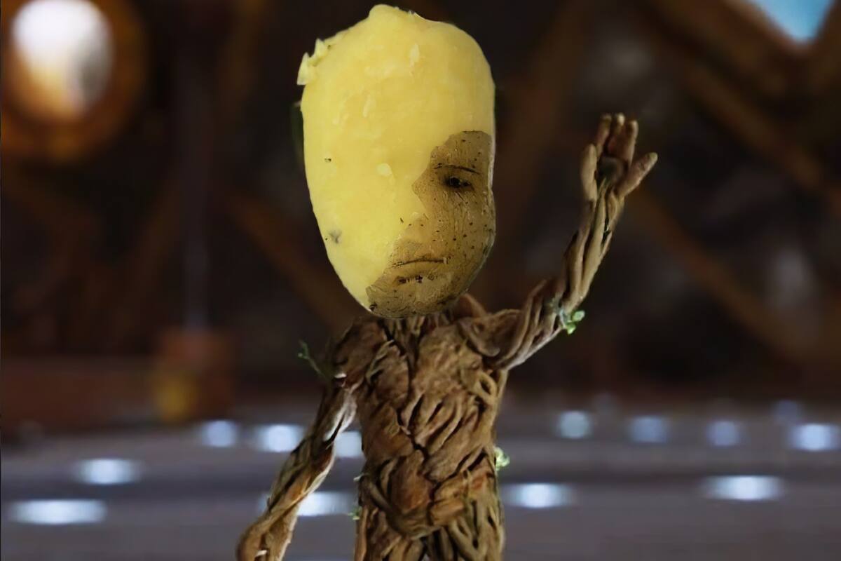 Internautas encuentran papa que parece Groot de "Los Guardianes de la Galaxia"