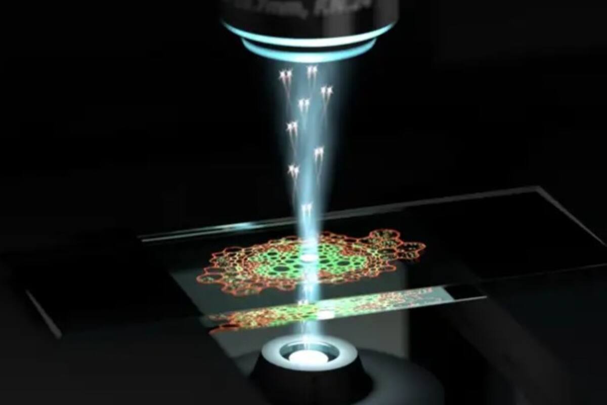 Nuevo microscopio cuántico permite ver las diminutas estructuras de células vivas