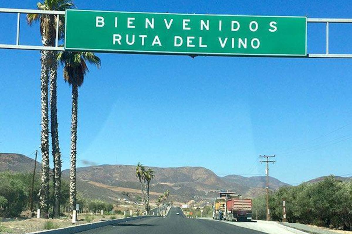 Realizan censo de hoteles y restaurantes en el Valle de Guadalupe para medir su impacto económico