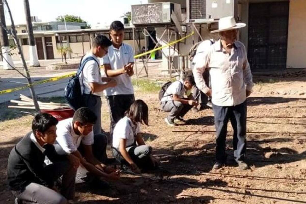 Jóvenes sembrarán más hortalizas