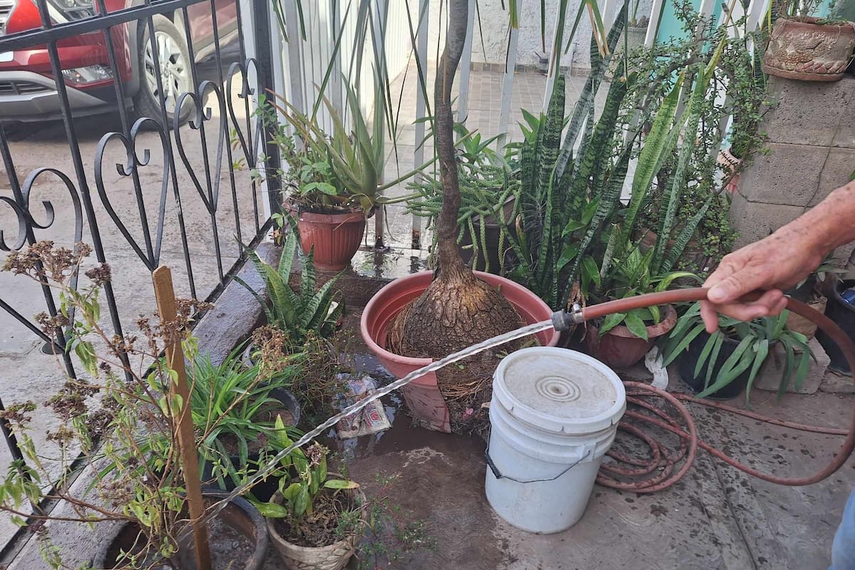 Pese a la sequía, no hay cultura de cuidado del agua en Cajeme: DRRY