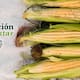 La Secretaría de Agricultura entregará hasta 24,000 pesos a productores agrícolas y apicultores mediante el programa Producción para el Bienestar, priorizando tierras de pequeña escala en el sur de México