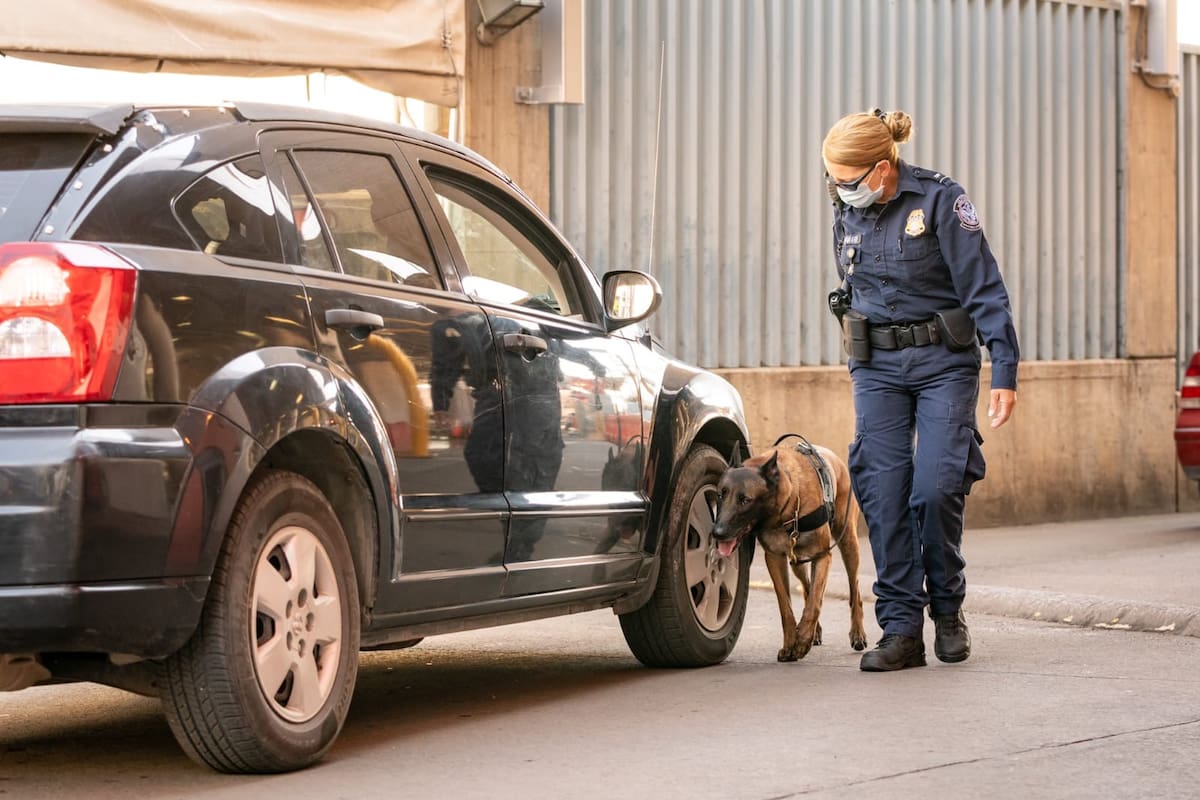 Nuevamente agente canino detecta narcóticos en garita de Nogales