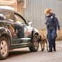 Nuevamente agente canino detecta narcóticos en garita de Nogales