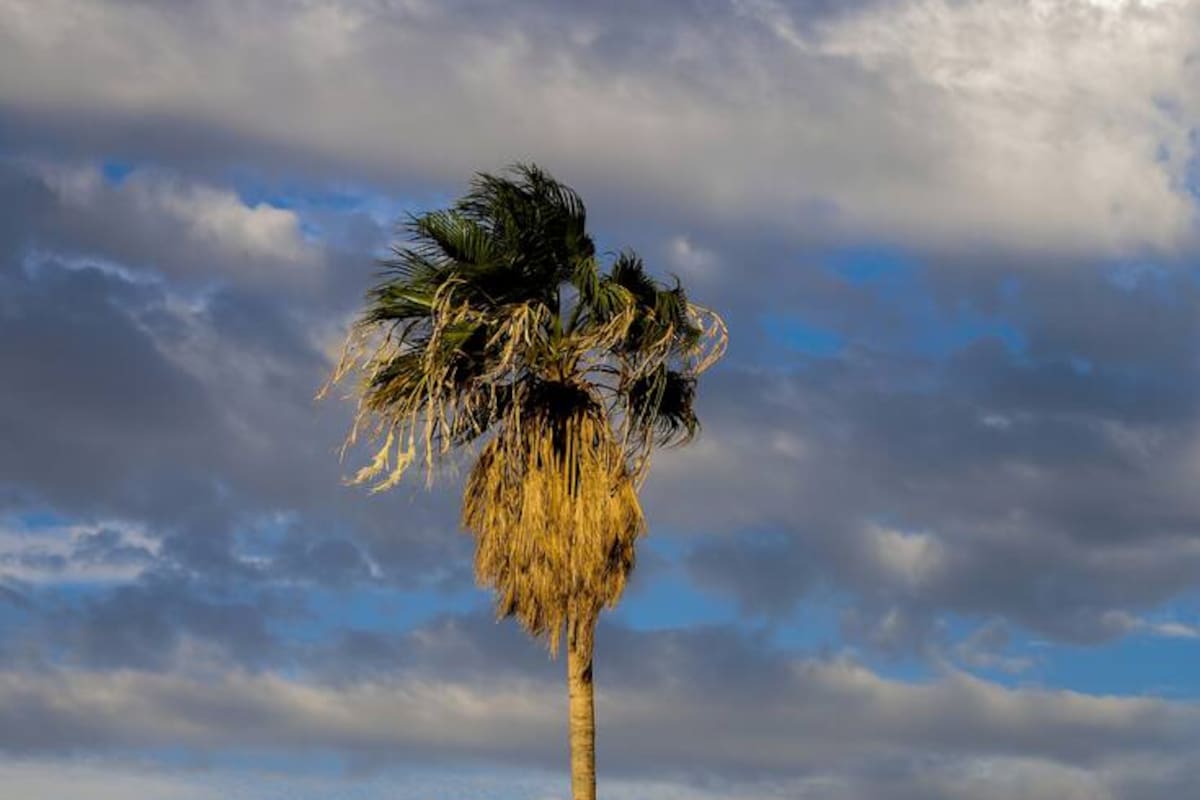 Semana fresca y con cielo nublado en San Luis Río Colorado