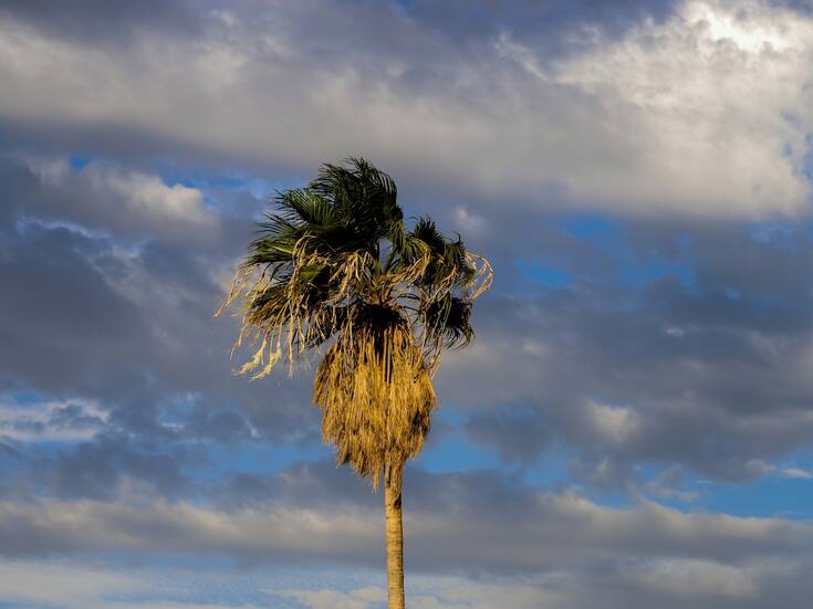 Semana fresca y con cielo nublado en San Luis Río Colorado